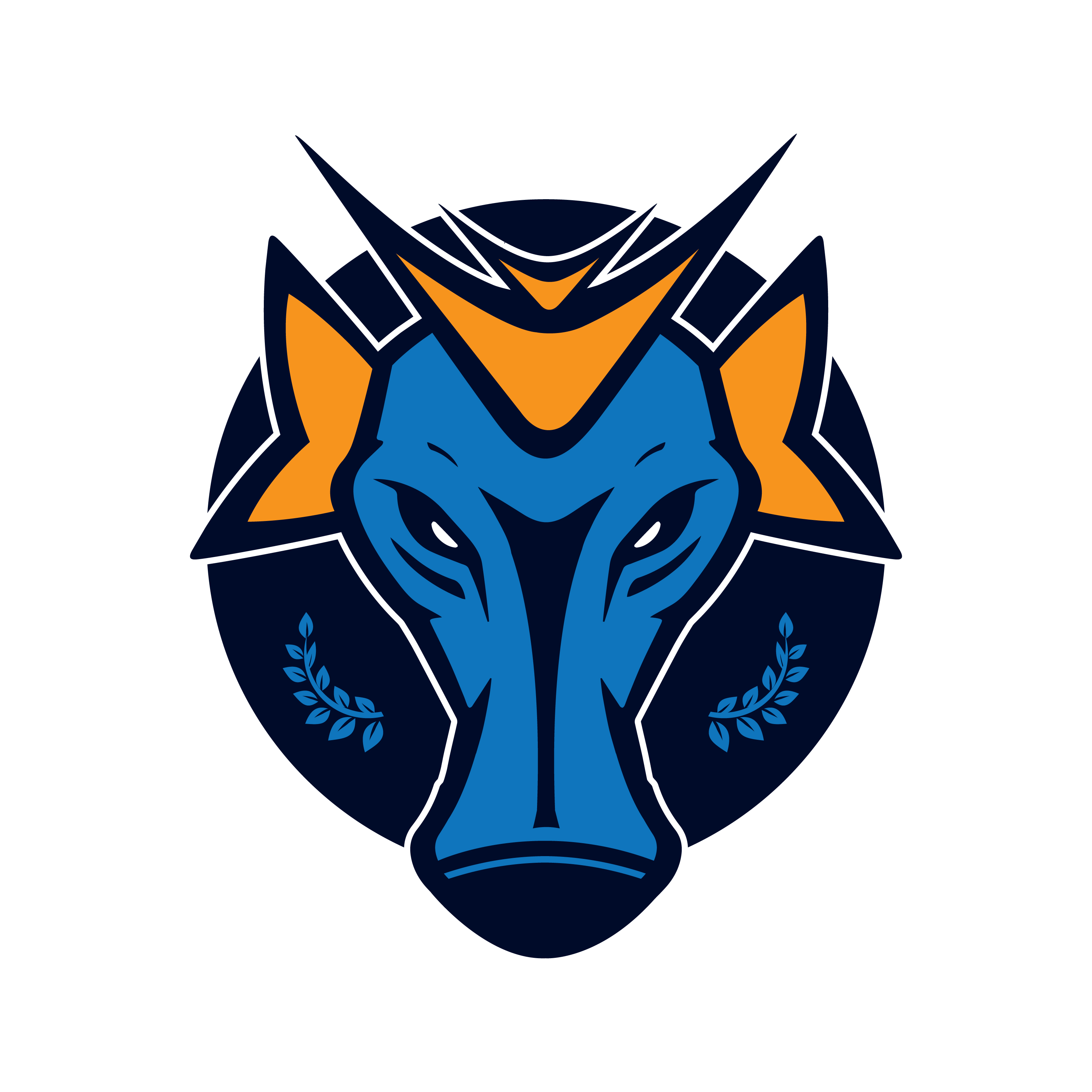 Patrocinador Principal